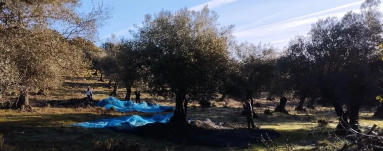 Mediambiente y ganaderia