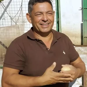 Elaborados Ocas Iglesias Adoption